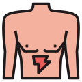 Stomaco icon