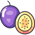 Passion Fruit icon