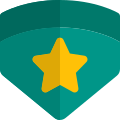 Double emblem with star insignia badge for high ranking officer icon