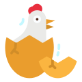 Chick icon