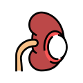 Renal Cyst icon
