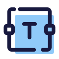 Текстовое поле icon