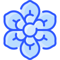 Blume icon