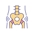 Pelvis icon