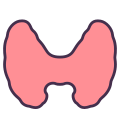 Thyroid Gland icon