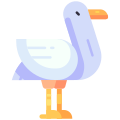 Seagull icon