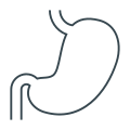 Anatomy icon