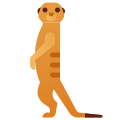 Lunette suricate icon