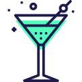 Cocktail icon