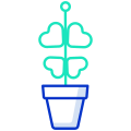 阳光下的植物 icon