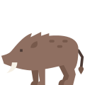 Wild Boar icon