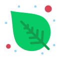 Leaf icon