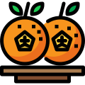 Orange icon