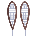 Snowshoes icon