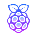 Raspberry Pi icon