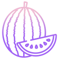 Wassermelone icon