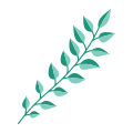 Branch icon