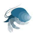Hermit crab icon
