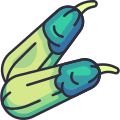 Zucchini icon