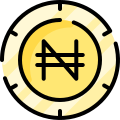 Naira icon