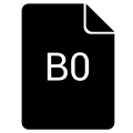 B0 icon