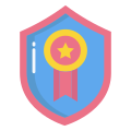 Shield icon