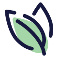 Bay Leaf icon