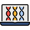 Chromosome icon