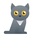 gatito icon