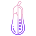 Eggplant icon