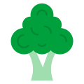 Brocoli icon