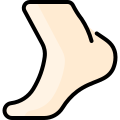 Foot icon