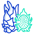 Fruit du dragon icon