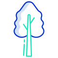 Arbre icon