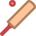 Крикет icon
