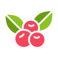 Berries icon