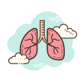 Pulmones icon