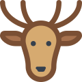 Cerf icon