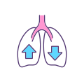 Respiratory System icon