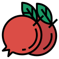 Granatapfel icon