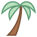 Palm Tree icon