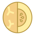 melón cortado icon