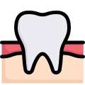 Anatomy icon