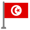 Flagge 2 icon