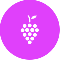 Fruit icon