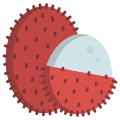 Lychee icon