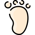 Footprint icon