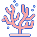 Coral Reef icon