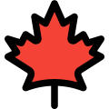 Canadian maple leaf coin are bullion coins of gold, silver, platinum or palladium icon