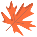 Maple Leaf icon